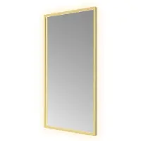 Hotbath &More SQU510 Square spiegel 50x100cm met verlichting, spiegelverwarming, kleurwissel, dimbaar en afstandsbediening geborsteld messing PVD