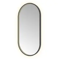 Hotbath &More OVA510 Oval spiegel 50x100cm met verlichting, spiegelverwarming, kleurwissel, dimbaar en afstandsbediening geborsteld zwart PVD