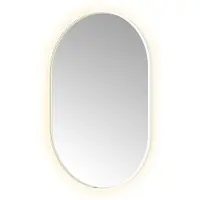 Hotbath &More OVA812 Oval spiegel 80x120cm met verlichting, spiegelverwarming, kleurwissel, dimbaar en afstandsbediening mat wit