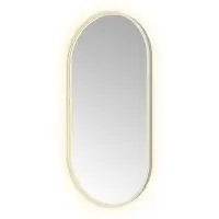Hotbath &More Oval spiegel ovaal 50x100cm RVS