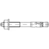 Alstertaler Schrauben & Präzisionsteile 887410100160050 Expressanker 50 mm 20 stuk(s)