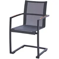 Diamond Garden Valencia Schommelstoel Roestvrij Staal Sunproof Sling 2 stuks