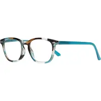 Spectrum leesbril blauw/bruin 2.00
