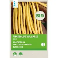 Intratuin Biologische Groentezaad Stamslaboon Geel (Phaseolus Vulgaris 'Dior')