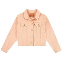 Levi's Spijkerjasje COLOR BABY BAGGY TRUCKER kind 4 jaar
