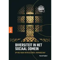 BOOM Diversiteit in het sociaal domein (Paperback)
