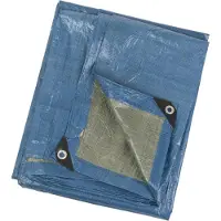 Perel Dekzeil - Afdekzeil - 18 ringen versterkte hoeken - Blauw Groen 70 g/m² 4 x 5 m