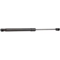 RIDEX 219G0309 Gasveer achterklep