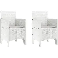 vidaXL Tuinstoel 2 st Wit Polypropyleen