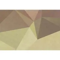 A.S. Création Fotobehang polygonal 1 DD110936 Livingwalls Walls by Patel | 3D Fotobehang op maat