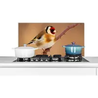 KitchenYeah Spatscherm keuken 90x45 cm - Kookplaat achterwand Putter - Vogel - Dieren - Muurbeschermer - Spatwand fornuis - Hoogwaardig aluminium