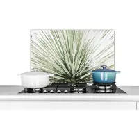 KitchenYeah Spatscherm - Natuur - Groen - Plant - Keuken decoratie - 60x40 cm - Muurbeschermer