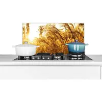 KitchenYeah Spatscherm keuken 60x30 cm - Kookplaat achterwand Pampasgras - Zon - Gras - Muurbeschermer - Spatwand fornuis - Hoogwaardig aluminium