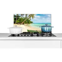 KitchenYeah Spatscherm keuken 70x30 cm - Kookplaat achterwand Strand - Kano - Palmboom - Tropical - Muurbeschermer - Spatwand fornuis - Hoogwaardig aluminium