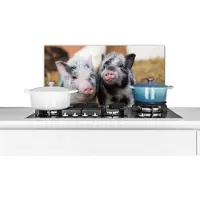 KitchenYeah Spatscherm keuken 70x30 cm - Kookplaat achterwand Varken - Dieren - Varkentje - Muurbeschermer - Spatwand fornuis - Hoogwaardig aluminium