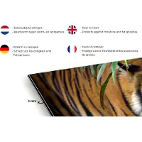 KitchenYeah - Spatscherm - Spatwand - Tijger - Wilde dieren - Bladeren - Natuur - Spatscherm tijger - Keuken decoratie - Keuken achterwand - 100x50 cm - Spatwand - Spatwand fornuis