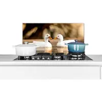 KitchenYeah Spatscherm keuken 70x30 cm - Kookplaat achterwand Eend - Wit - Dieren - Water - Vogel - Eenden - Muurbeschermer - Spatwand fornuis - Hoogwaardig aluminium