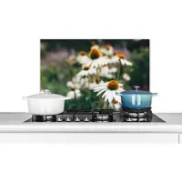 KitchenYeah Spatscherm keuken 60x40 cm - Kookplaat achterwand Bloemen - Herfst - Botanisch - Muurbeschermer - Spatwand fornuis - Hoogwaardig aluminium
