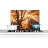 KitchenYeah Spatscherm keuken 70x50 cm - Kookplaat achterwand Boom - Natuur - Herfst - Muurbeschermer - Spatwand fornuis - Hoogwaardig aluminium