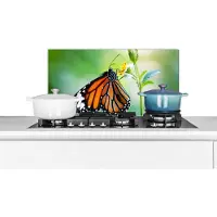 KitchenYeah Spatscherm keuken 70x30 cm - Kookplaat achterwand Vlinder - Bloemen - Insecten - Muurbeschermer - Spatwand fornuis - Hoogwaardig aluminium