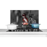 KitchenYeah Spatscherm keuken 60x40 cm - Kookplaat achterwand Vlinder - Dieren - Bloemen - Zwart wit - Oranje - Muurbeschermer - Spatwand fornuis - Hoogwaardig aluminium