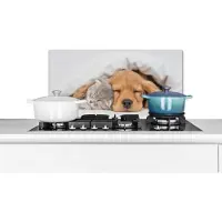 KitchenYeah Spatscherm - Kat - Hond - Poes - Honden - Deken - Dieren - 60x30 cm - Keuken decoratie - Muurbeschermer - Spatwand keuken - Spatscherm dieren