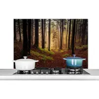 KitchenYeah Spatscherm keuken 100x65 cm - Kookplaat achterwand Bomen - Natuur - Bos - Muurbeschermer - Spatwand fornuis - Hoogwaardig aluminium