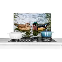 KitchenYeah Spatscherm keuken 70x50 cm - Kookplaat achterwand Eend - Vogels - Water - Veren - Dieren - Muurbeschermer - Spatwand fornuis - Hoogwaardig aluminium