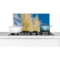 KitchenYeah Spatscherm keuken 70x30 cm - Kookplaat achterwand Planten - Pampasgras - Lucht - Muurbeschermer - Spatwand fornuis - Hoogwaardig aluminium
