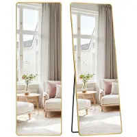 Songmics Staande passpiegel met aluminium frame voor slaapkamer, Bleek goud / 160 x 50 cm