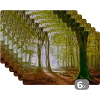 KitchenYeah Placemat - Placemats kunststof - Bos - Zon - Seizoenen - Landschap - 45x30 cm - 6 stuks - Hittebestendig - Anti-Slip - Onderlegger - Afneembaar