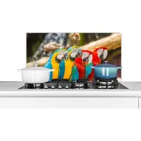 KitchenYeah Spatscherm keuken 90x45 cm - Kookplaat achterwand Vogels - Papegaai - Tropisch - Natuur - Muurbeschermer - Spatwand fornuis - Hoogwaardig aluminium