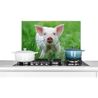 KitchenYeah Spatscherm keuken 60x40 cm - Kookplaat achterwand Varken - Dieren - Big - Muurbeschermer - Spatwand fornuis - Hoogwaardig aluminium