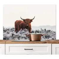 KitchenYeah Spatscherm keuken 120x80 cm - Kookplaat achterwand Schotse hooglander - Dier - Natuur - Wit - Muurbeschermer - Spatwand fornuis - Hoogwaardig aluminium