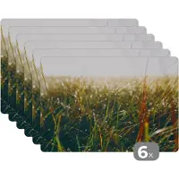 KitchenYeah Placemat - Placemats kunststof - Grasveld - Pampasgras - Gras - 45x30 cm - 6 stuks - Hittebestendig - Anti-Slip - Onderlegger - Afneembaar