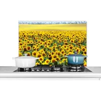 KitchenYeah Spatscherm keuken 90x60 cm - Kookplaat achterwand Zonnebloem - Bloemen - Natuur - Muurbeschermer - Spatwand fornuis - Hoogwaardig aluminium