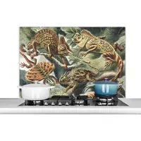 KitchenYeah Spatscherm keuken 100x65 cm - Kookplaat achterwand Vintage - Kunst - Ernst Haeckel - Salamanders - Dieren - Muurbeschermer - Spatwand fornuis - Hoogwaardig aluminium