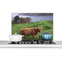 KitchenYeah Spatscherm keuken 80x55 cm - Kookplaat achterwand Schotse Hooglander - Gras - Water -Dieren - Muurbeschermer - Spatwand fornuis - Hoogwaardig aluminium