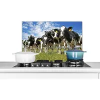KitchenYeah - Spatscherm keuken - Koeien - Koe - Dieren - Natuur - Weiland - Muurbeschermer - 70x50 cm - Spatwand - Spatscherm koe - Achterwand keuken