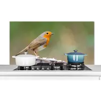 KitchenYeah Spatscherm keuken 120x60 cm - Kookplaat achterwand Dieren - Vogel - Roodborstje - Muurbeschermer - Spatwand fornuis - Hoogwaardig aluminium