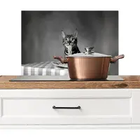 KitchenYeah Spatscherm keuken 70x50 cm - Kookplaat achterwand Bengaal - Kat - Tafelkleed - Zwart - Wit - Dier - Muurbeschermer - Spatwand fornuis - Hoogwaardig aluminium