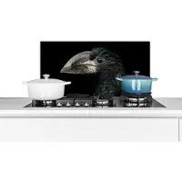 KitchenYeah Spatscherm keuken 70x30 cm - Kookplaat achterwand Vogel - Portret - Neushoornvogel - Zwart - Dieren - Muurbeschermer - Spatwand fornuis - Hoogwaardig aluminium