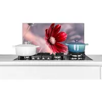 KitchenYeah Spatscherm keuken 70x30 cm - Kookplaat achterwand Bloemen - Rood - Natuur - Planten - Muurbeschermer - Spatwand fornuis - Hoogwaardig aluminium