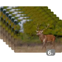 KitchenYeah Placemat - Placemats kunststof - Dieren - Hert - Gewei - Bosdieren - Natuur - 45x30 cm - 6 stuks - Hittebestendig - Anti-Slip - Onderlegger - Afneembaar