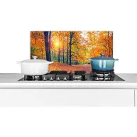 KitchenYeah Spatscherm keuken 60x30 cm - Kookplaat achterwand Bomen - Herfst - Bos - Herfstbladeren - Muurbeschermer - Spatwand fornuis - Hoogwaardig aluminium