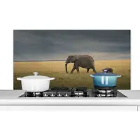 KitchenYeah Spatscherm keuken 120x60 cm - Kookplaat achterwand Olifant - Savanne - Dieren - Natuur - Muurbeschermer - Spatwand fornuis - Hoogwaardig aluminium