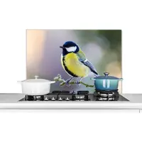 KitchenYeah Spatscherm keuken 90x60 cm - Kookplaat achterwand Koolmees - Vogel - Tak - Muurbeschermer - Spatwand fornuis - Hoogwaardig aluminium