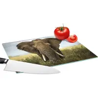 KitchenYeah Glazen Snijplank - 28x20 - Olifant - Natuur - Gras - Dieren - Landschap - Snijplanken Glas