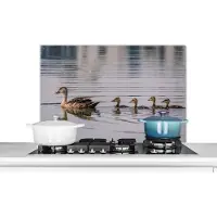 KitchenYeah Spatscherm keuken 80x55 cm - Kookplaat achterwand Eend - Water - Vogel - Bruin - Muurbeschermer - Spatwand fornuis - Hoogwaardig aluminium