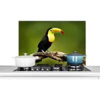 KitchenYeah Spatscherm keuken 90x60 cm - Kookplaat achterwand Vogel - Toekan - Regenboog - Groen - Tak - Muurbeschermer - Spatwand fornuis - Hoogwaardig aluminium